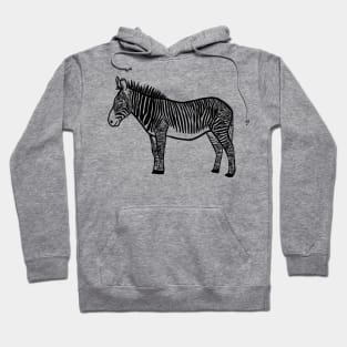 Stick figure zebra Hoodie